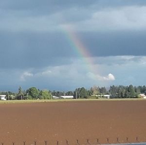 Meet your Posher, Josecito